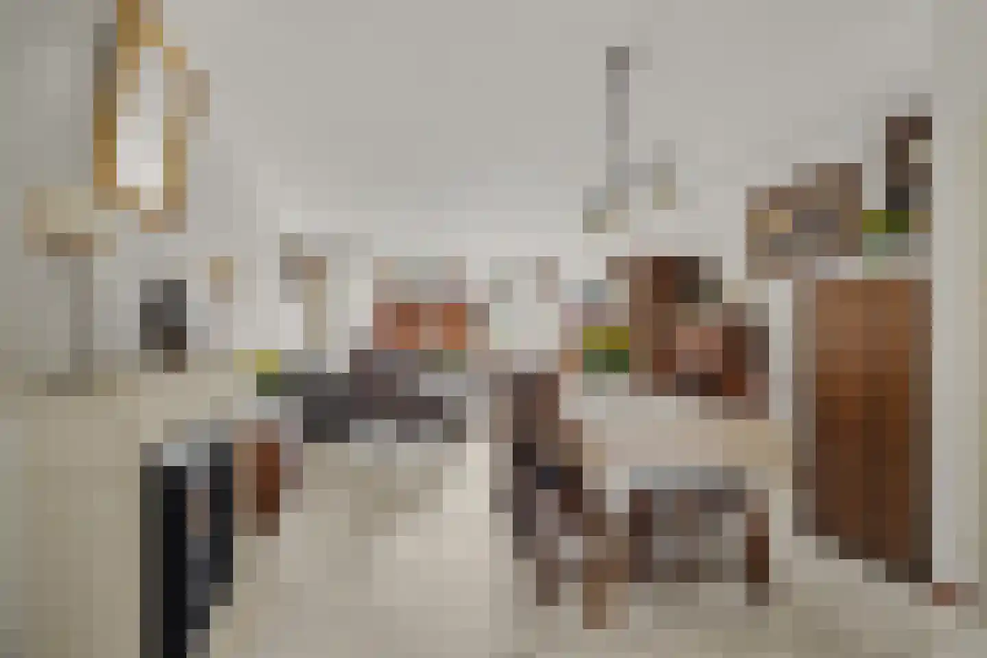 van Scorel 9 Monster thumbnail 4