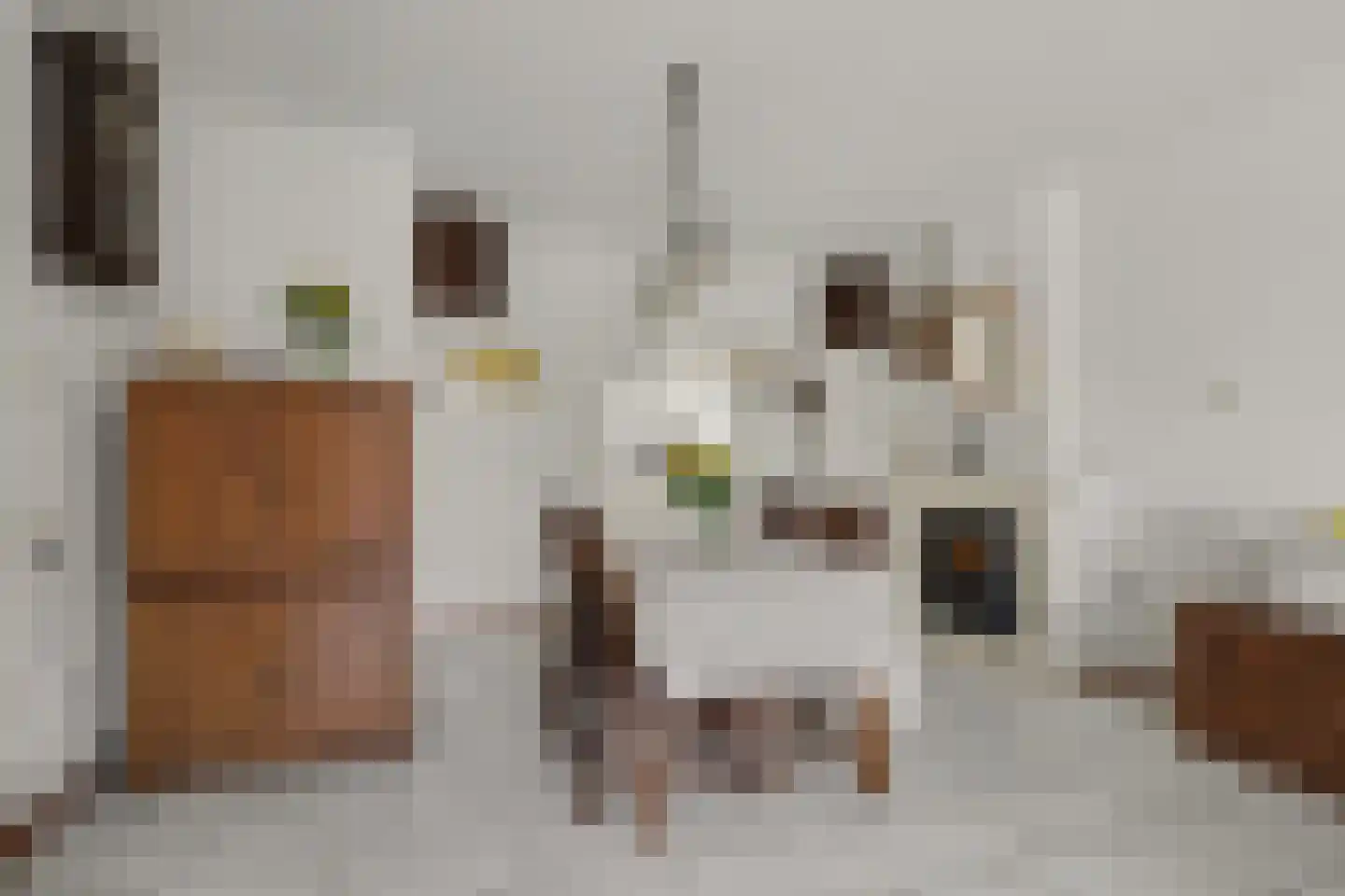 van Scorel 9 Monster thumbnail 9