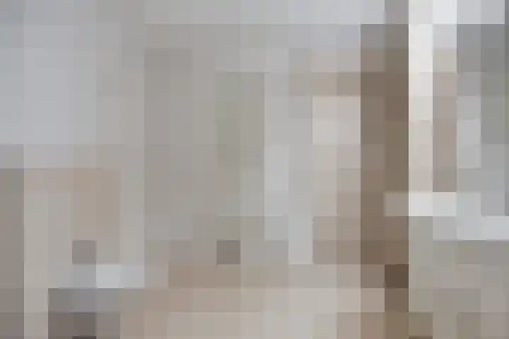 Van Scorelstraat 3 Krimpen aan den IJssel thumbnail 17