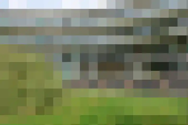 Van Scorelstraat 3 Krimpen aan den IJssel thumbnail 24