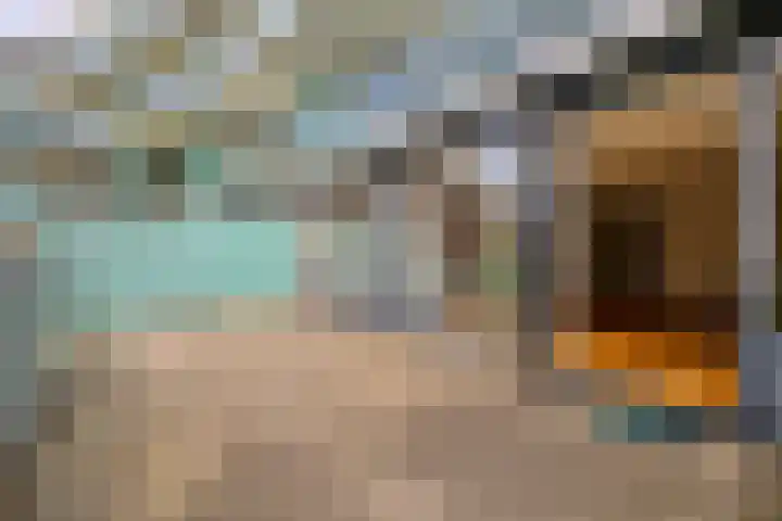 Van Scorelstraat 3 Krimpen aan den IJssel thumbnail 27