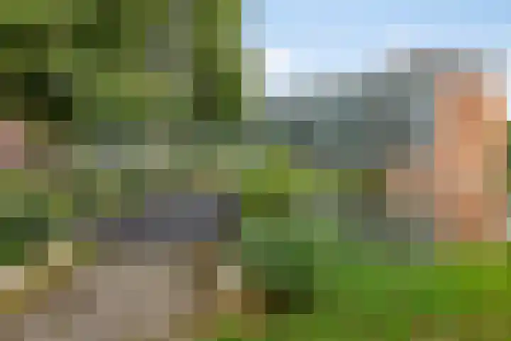 Van Scorelstraat 3 Krimpen aan den IJssel thumbnail 30