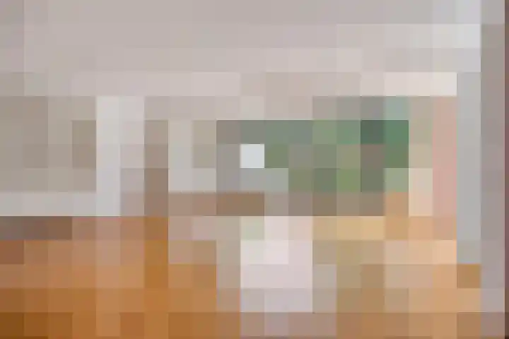 Van Scorelstraat 3 Krimpen aan den IJssel thumbnail 4