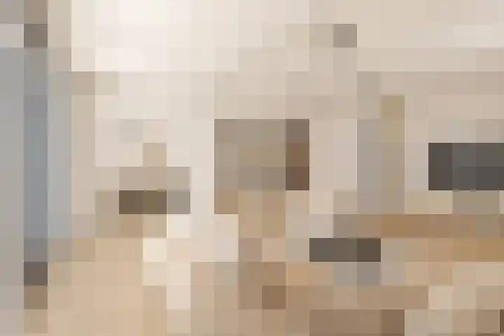 Van Scorelstraat 3 Krimpen aan den IJssel thumbnail 7