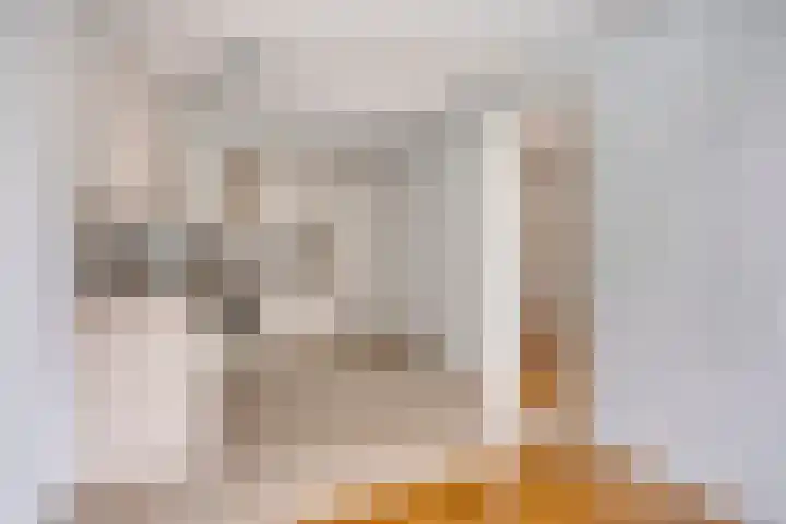 Van Scorelstraat 3 Krimpen aan den IJssel thumbnail 8