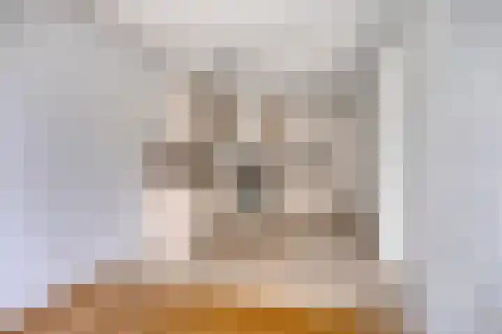 Van Scorelstraat 3 Krimpen aan den IJssel thumbnail 9