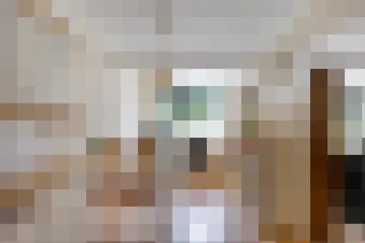 Van Scorelstraat 8 Krimpen aan den IJssel thumbnail 12