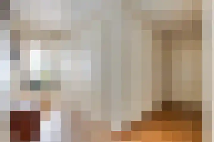 Van Scorelstraat 8 Krimpen aan den IJssel thumbnail 16