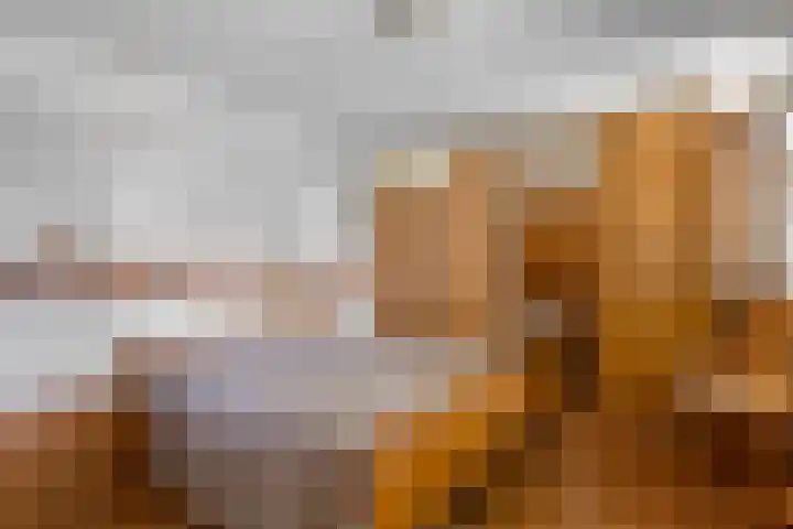 Van Scorelstraat 8 Krimpen aan den IJssel thumbnail 18