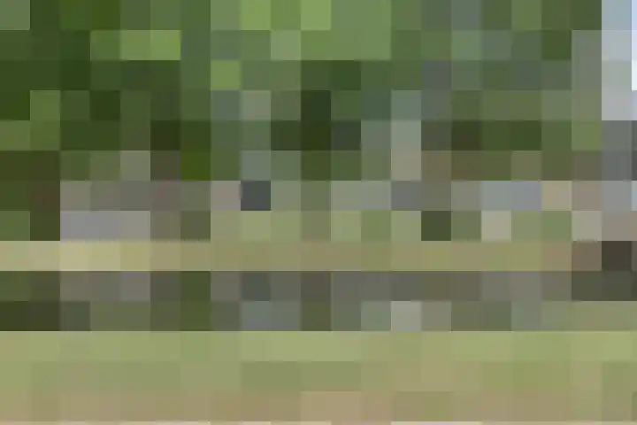 Van Scorelstraat 8 Krimpen aan den IJssel foto 2