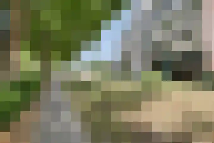 Van Scorelstraat 8 Krimpen aan den IJssel thumbnail 36