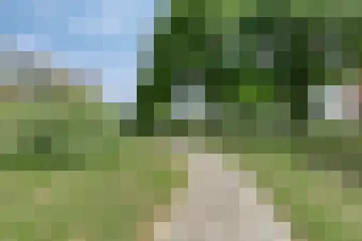 Van Scorelstraat 8 Krimpen aan den IJssel thumbnail 39