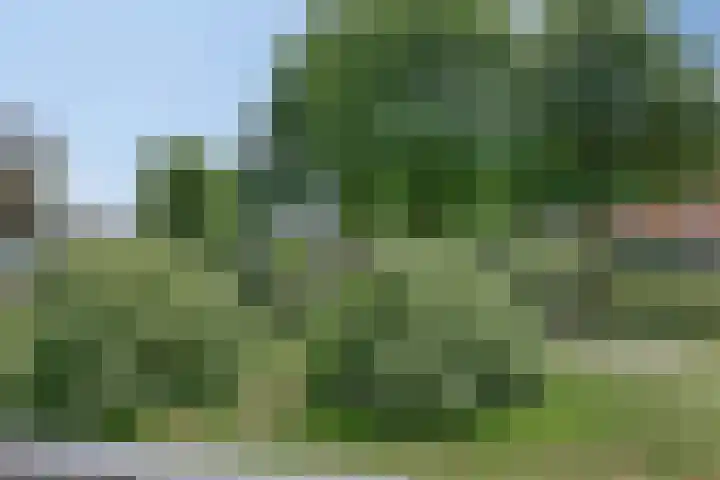 Van Scorelstraat 8 Krimpen aan den IJssel thumbnail 4
