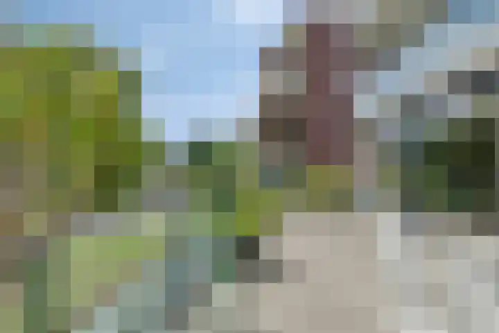 Van Scorelstraat 8 Krimpen aan den IJssel thumbnail 9