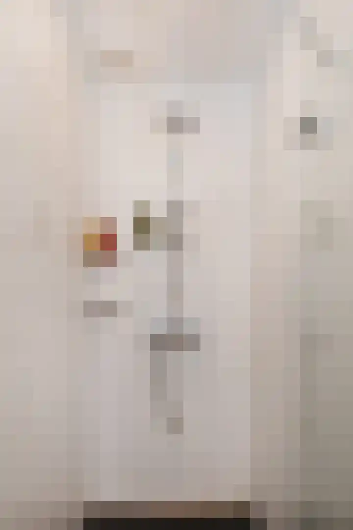 van Sevenbergestraat 14 Voorburg thumbnail 20