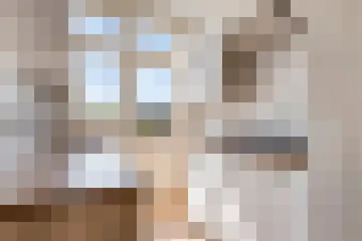 van Sevenbergestraat 20 Voorburg thumbnail 20