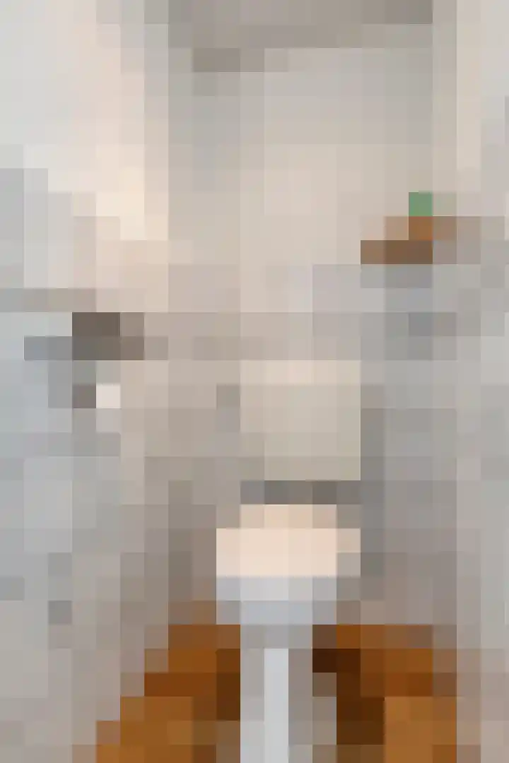 van Sevenbergestraat 20 Voorburg thumbnail 8