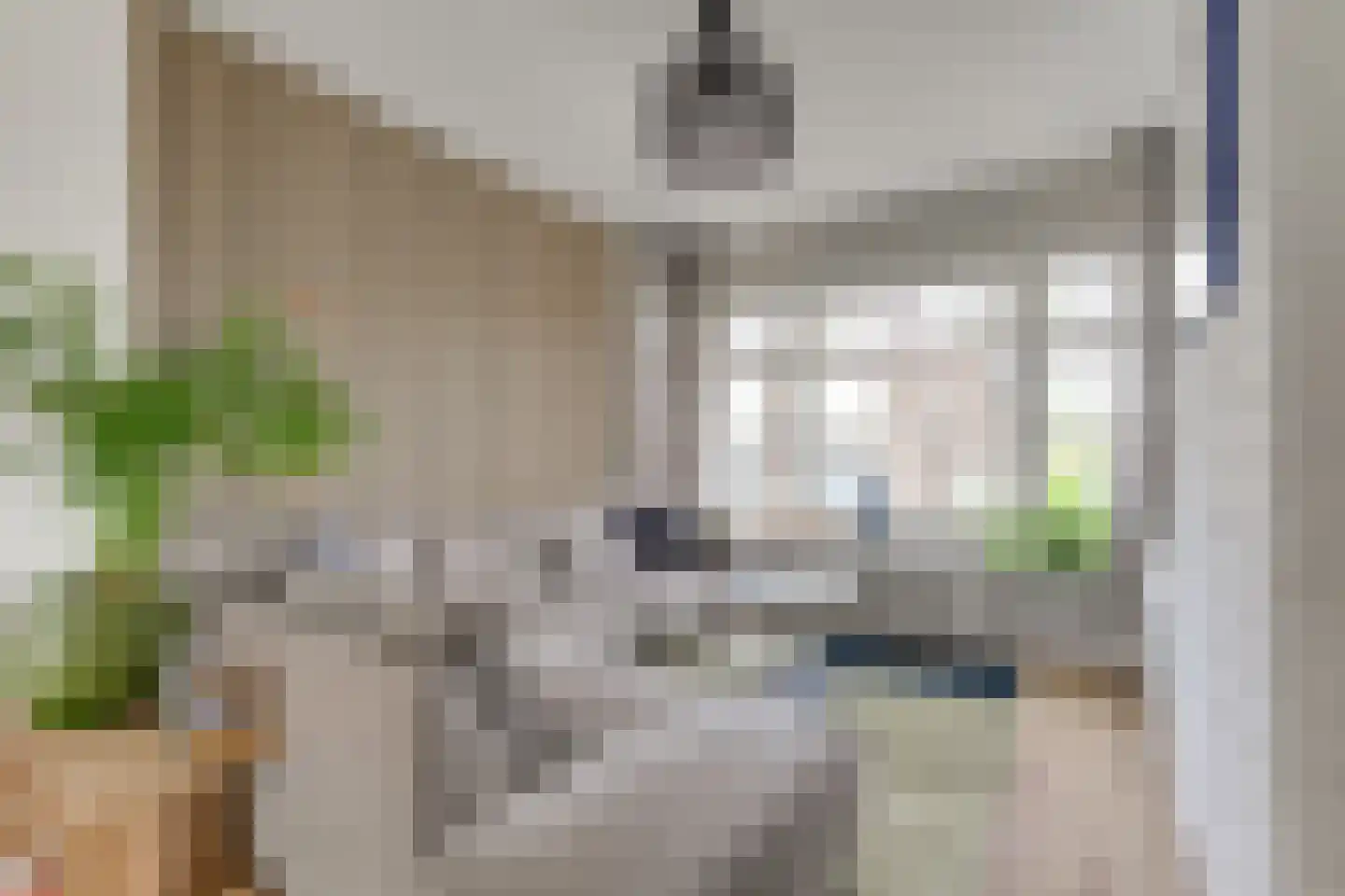 van Sevenbergestraat 58 Voorburg thumbnail 14