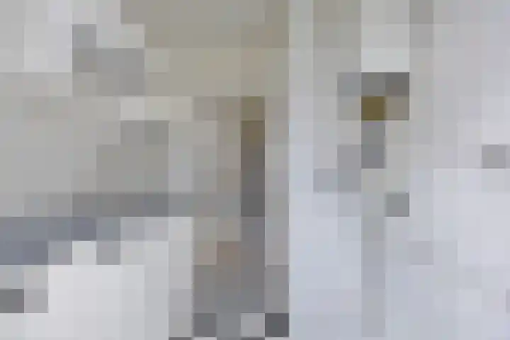 van Sevenbergestraat 58 Voorburg thumbnail 20