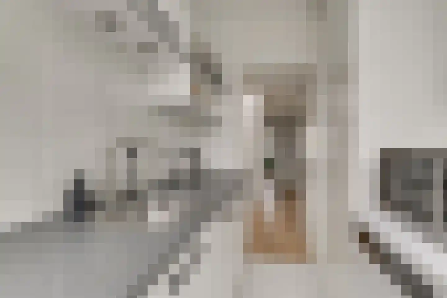van Sevenbergestraat 58 Voorburg thumbnail 23