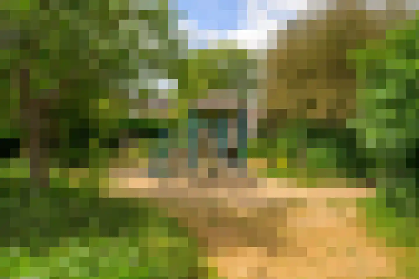 van Sevenbergestraat 58 Voorburg thumbnail 34