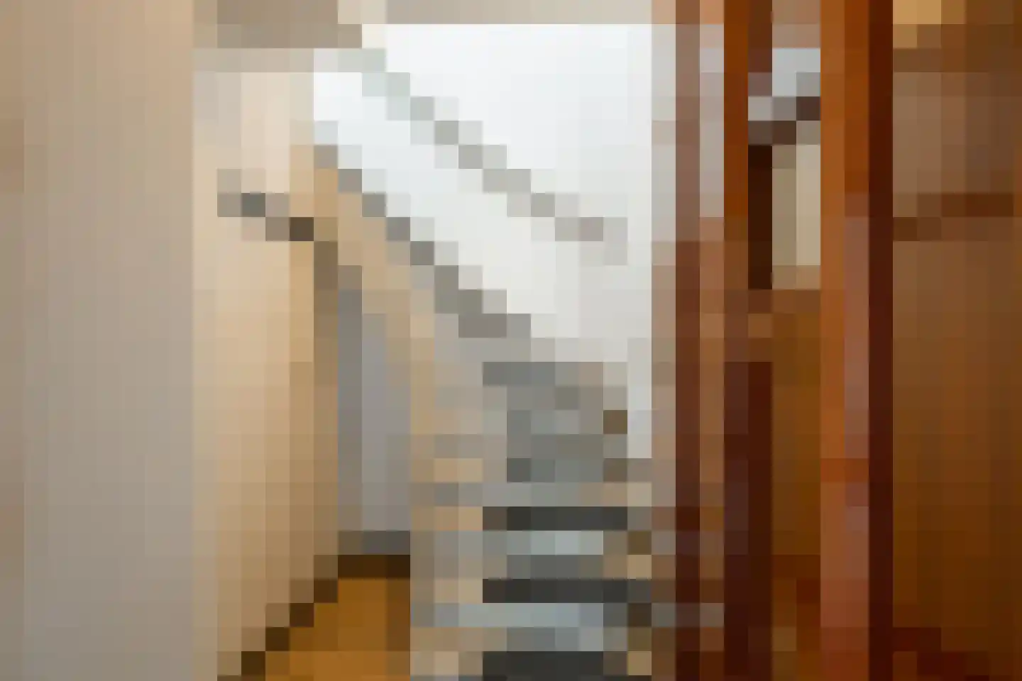 van Sevenbergestraat 58 Voorburg thumbnail 7