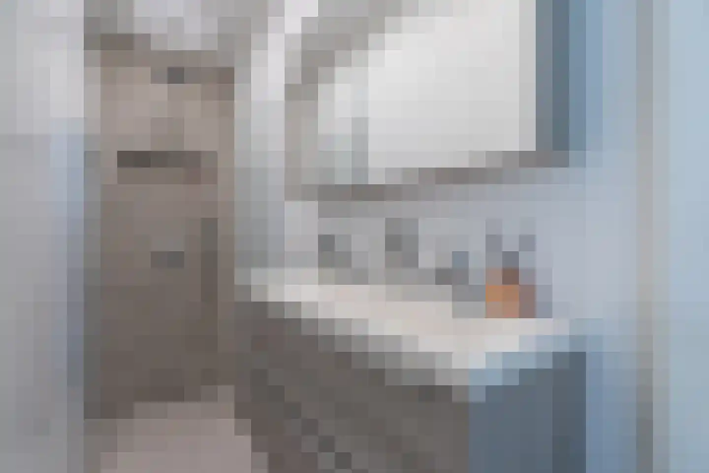 van Sevenbergestraat 61 Voorburg thumbnail 23