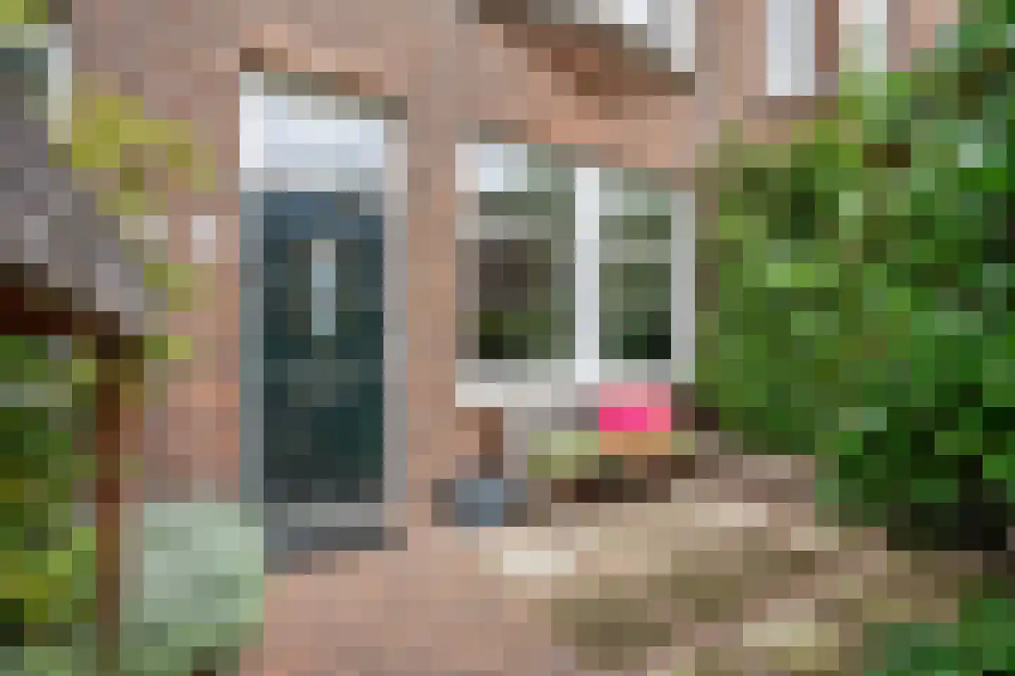 van Sevenbergestraat 61 Voorburg thumbnail 4