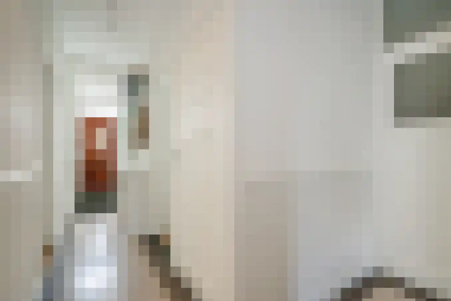 van Sevenbergestraat 61 Voorburg thumbnail 6