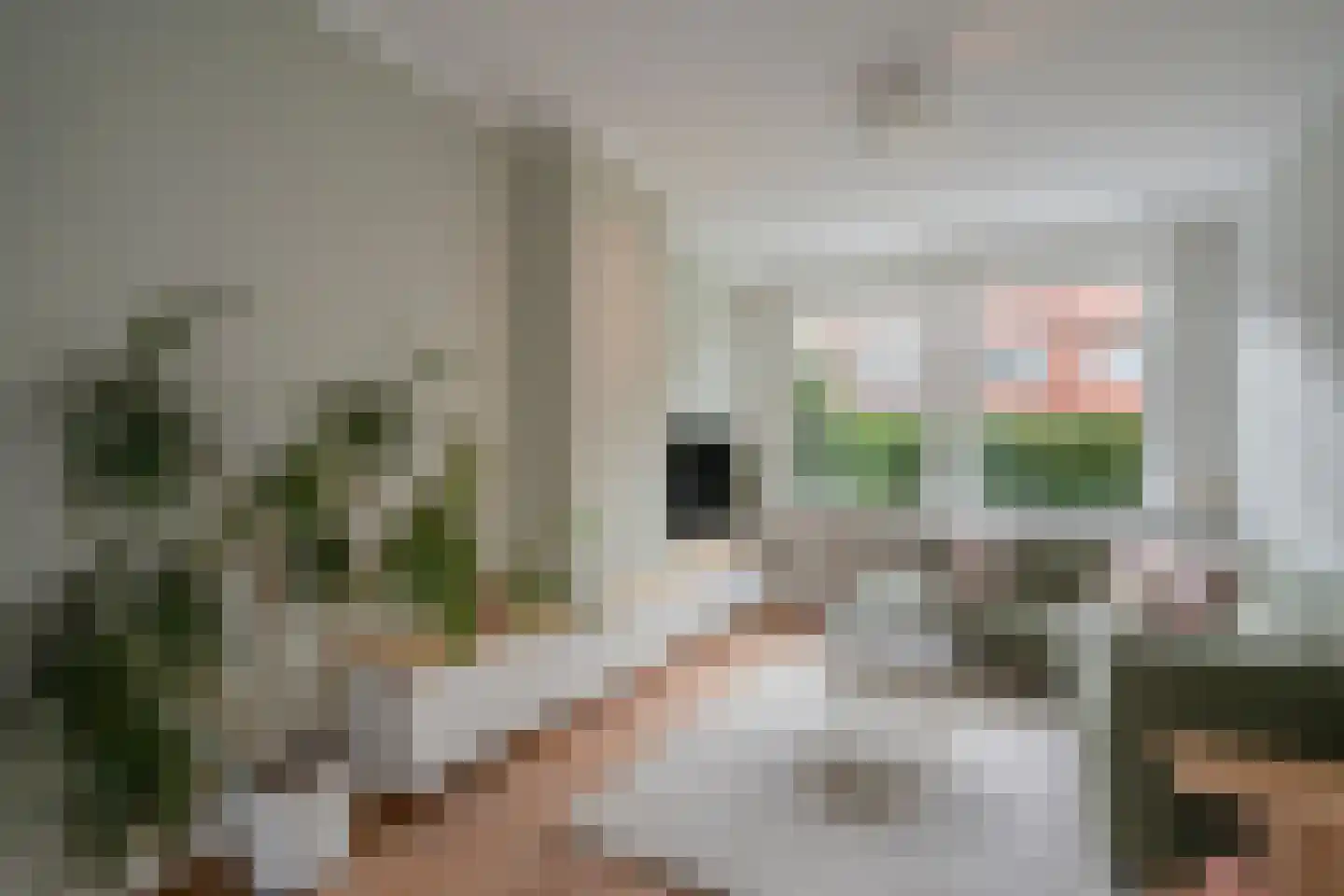 van Sevenbergestraat 61 Voorburg thumbnail 9