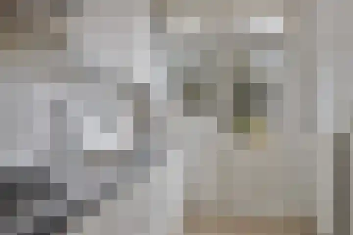 van Sevenbergestraat 66 Voorburg thumbnail 11