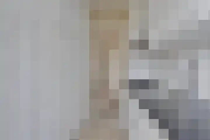 van Sevenbergestraat 66 Voorburg thumbnail 12
