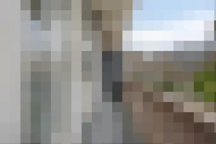 van Sevenbergestraat 66 Voorburg thumbnail 9