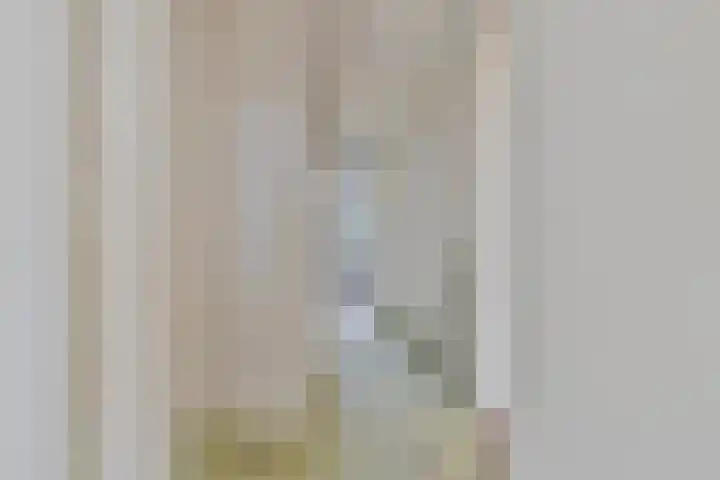 van Sevenbergestraat 70 Voorburg thumbnail 9