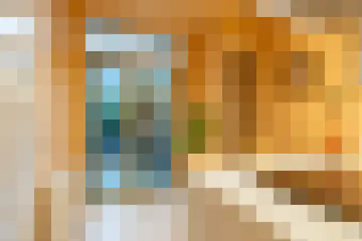 Van Sijsenstraat 19 Groningen thumbnail 10