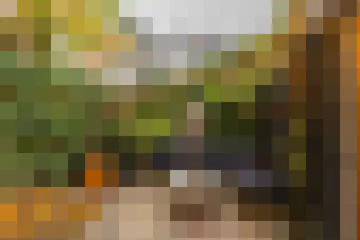 Van Sijsenstraat 19 Groningen thumbnail 15