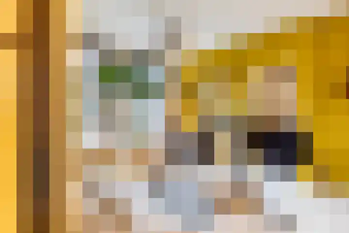 Van Sijsenstraat 19 Groningen thumbnail 18