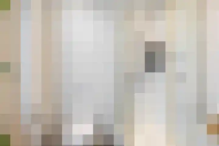 Van Sijsenstraat 19 Groningen thumbnail 22