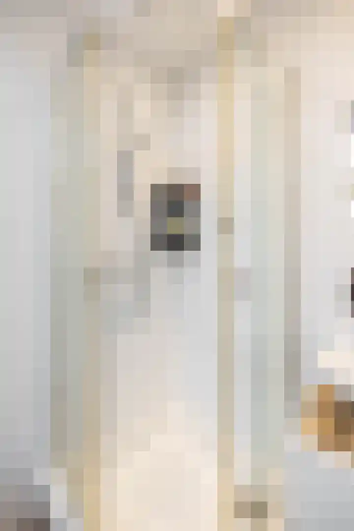 Van Sijsenstraat 19 Groningen thumbnail 23