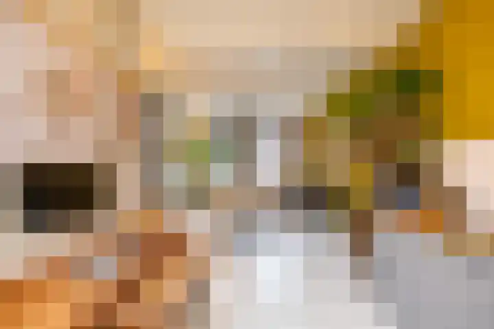 Van Sijsenstraat 19 Groningen thumbnail 28