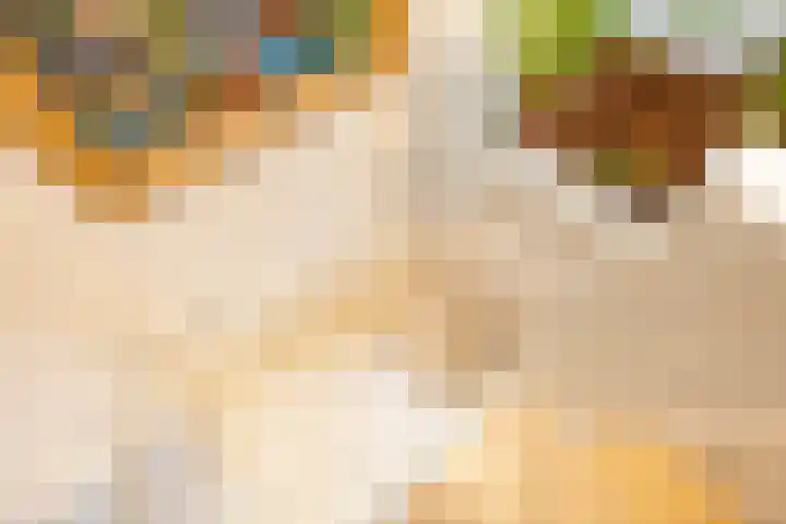 Van Sijsenstraat 19 Groningen thumbnail 30