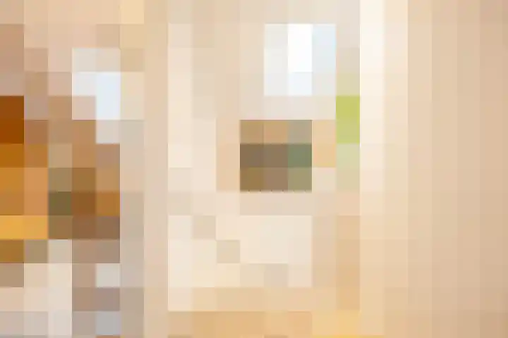 Van Sijsenstraat 19 Groningen thumbnail 31