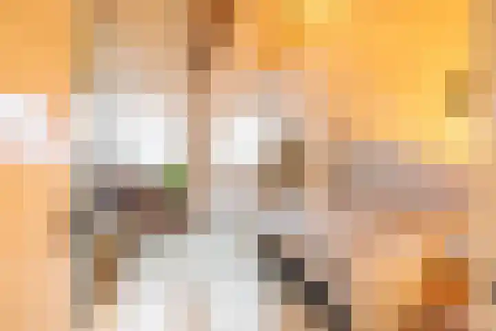 Van Sijsenstraat 19 Groningen thumbnail 33