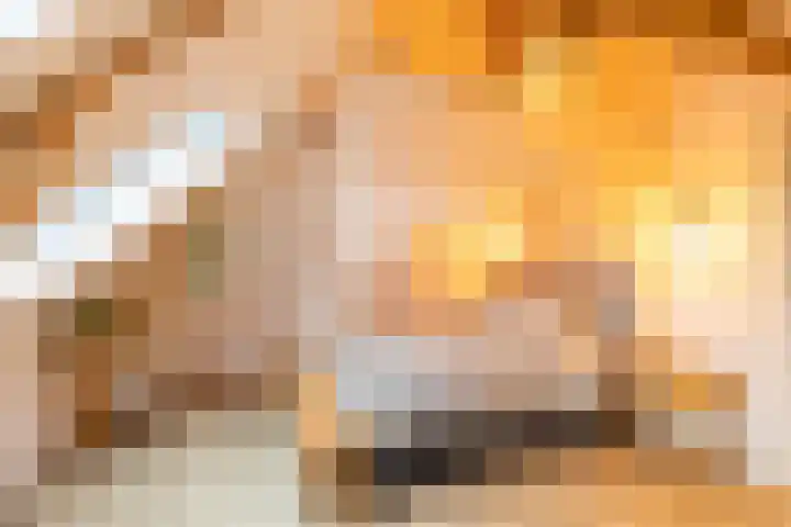 Van Sijsenstraat 19 Groningen thumbnail 34