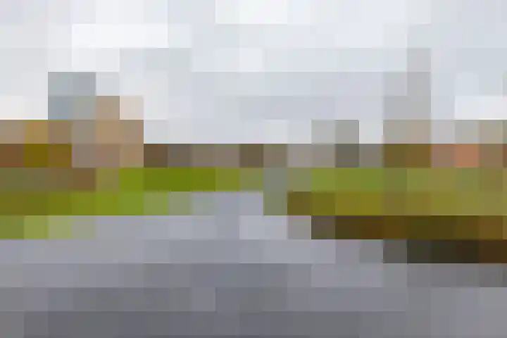Van Sijsenstraat 19 Groningen thumbnail 40