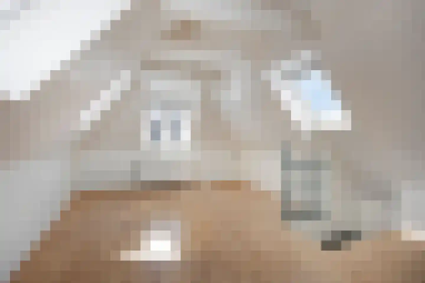 Van Sijsenstraat 4 a Groningen thumbnail 28