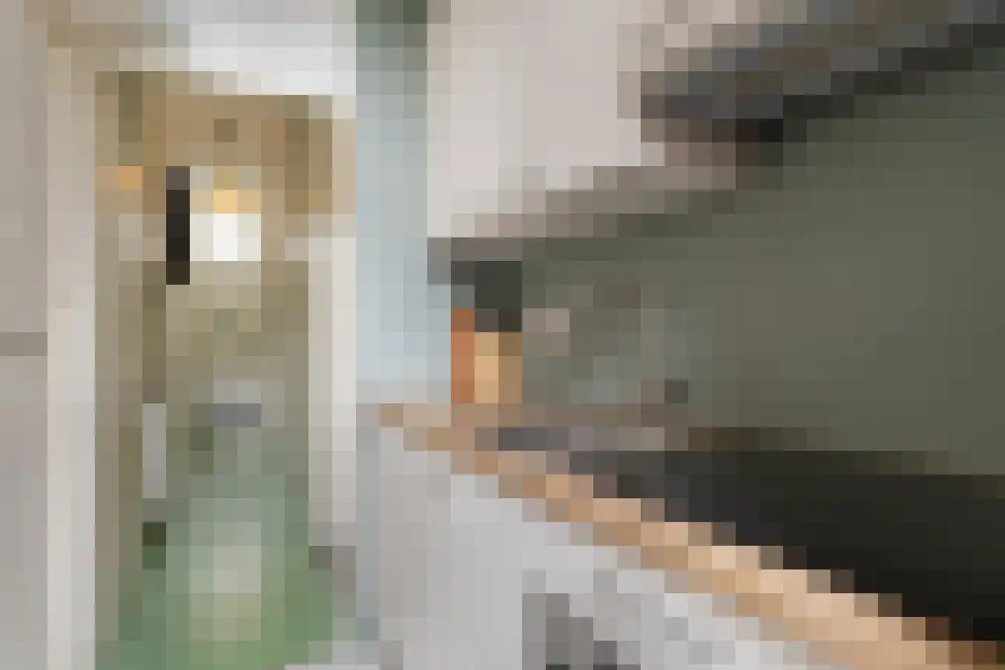 Van Sijsenstraat 4 Groningen thumbnail 16