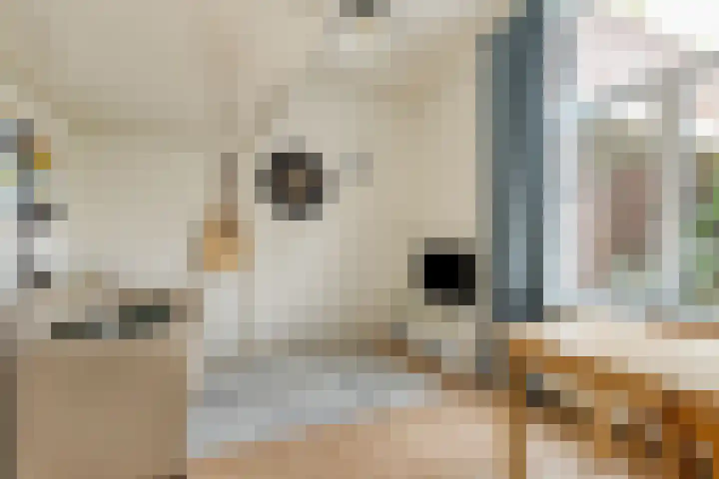 Van Sijsenstraat 4 Groningen thumbnail 18