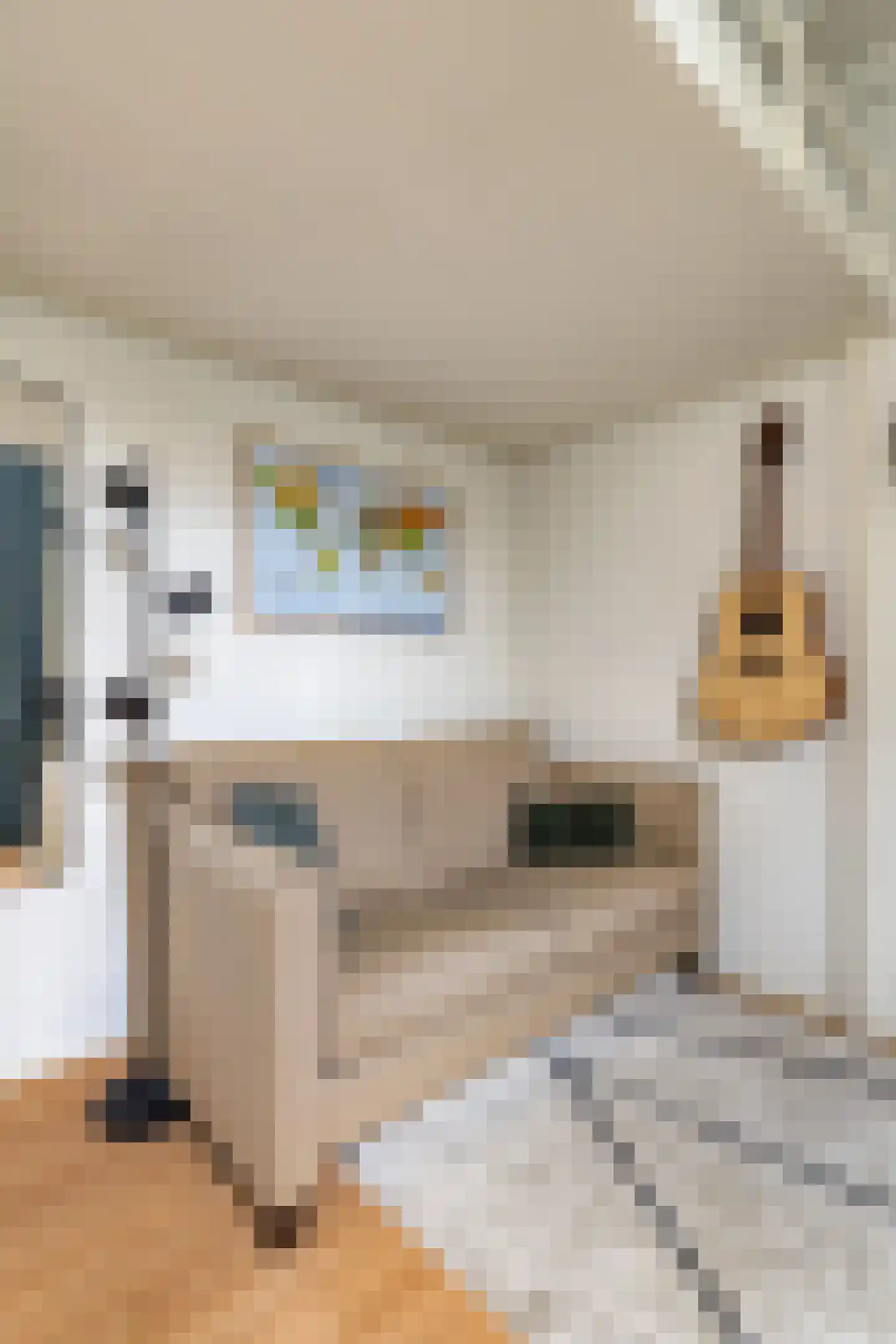Van Sijsenstraat 4 Groningen thumbnail 21