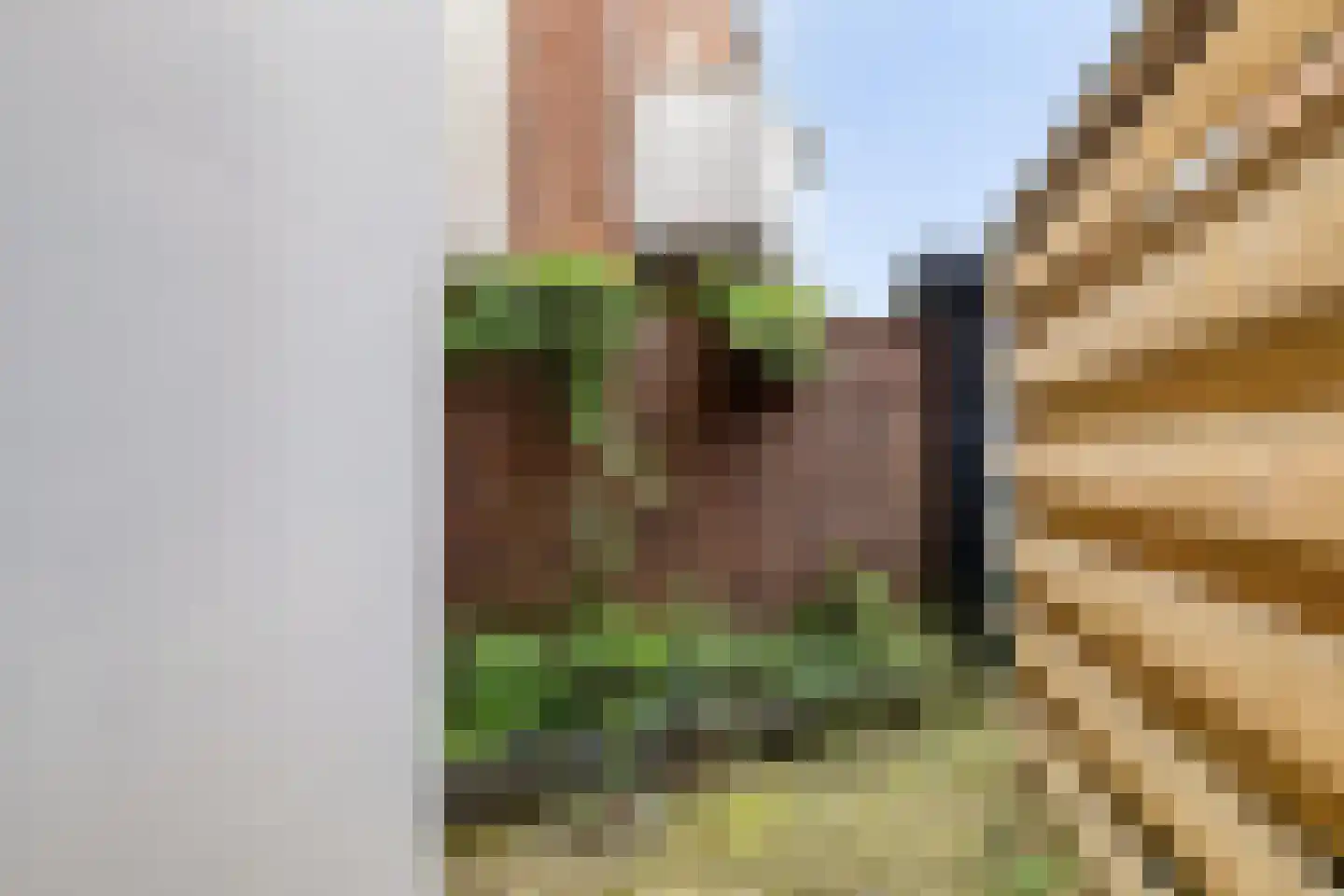 Van Sijsenstraat 4 Groningen thumbnail 27